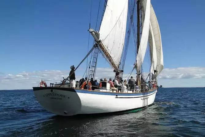 Windjammer Classic Day Sail