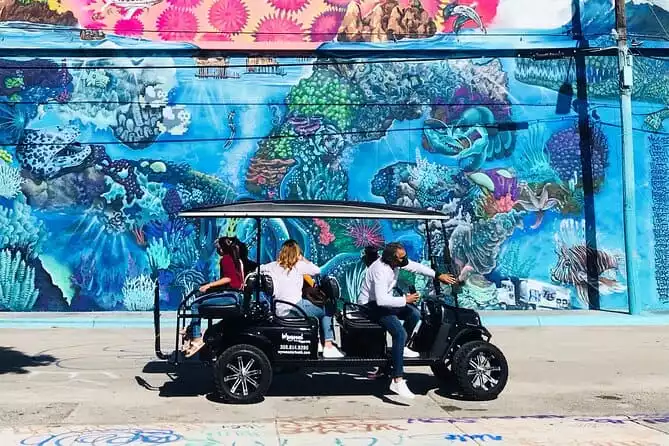 Miami Wynwood Arts District Graffiti Street Art Golf Cart Tour 2022