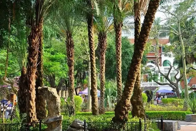 Xiamen Private Highlight Tour-Gulangyu Island, Shuzhuang Garden And Piano Museum