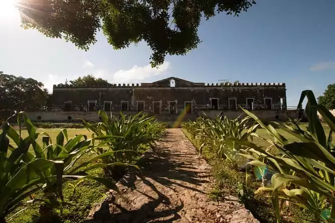 Yaxcopoil Hacienda & Uxmal Plus Cenote from Merida 2022