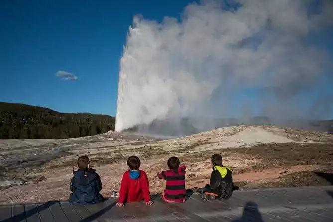 Private Yellowstone Old Faithful and Lower Loop Tour