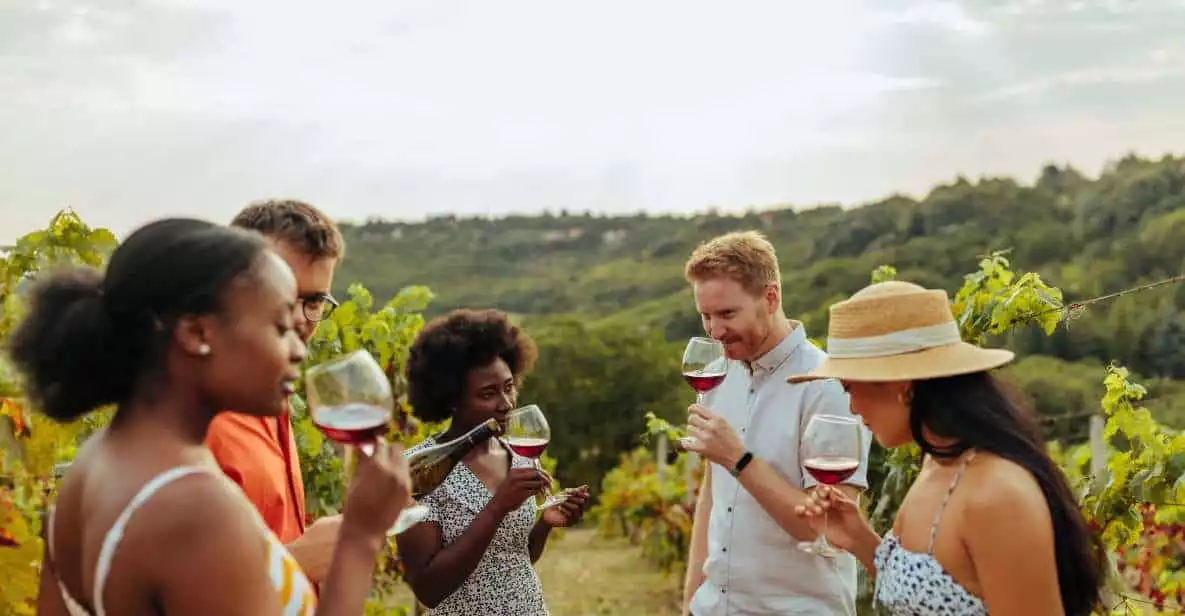 From Bordeaux: Saint-Emilion Wine Tasting Experience | GetYourGuide
