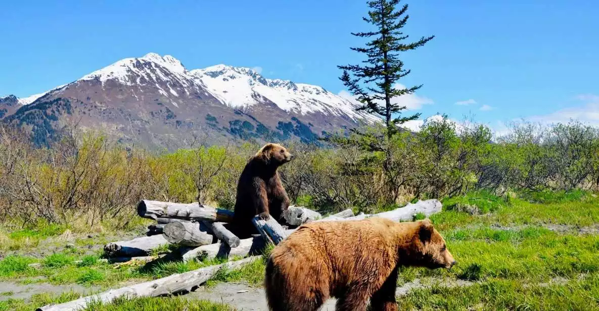Alaska Wildlife Conservation Center: Admission Ticket | GetYourGuide