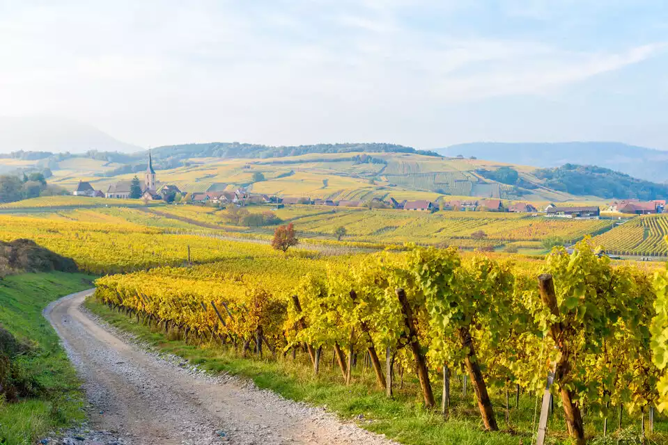 Alsace: Full-Day Wine Tour & Tastings from Strasbourg | GetYourGuide