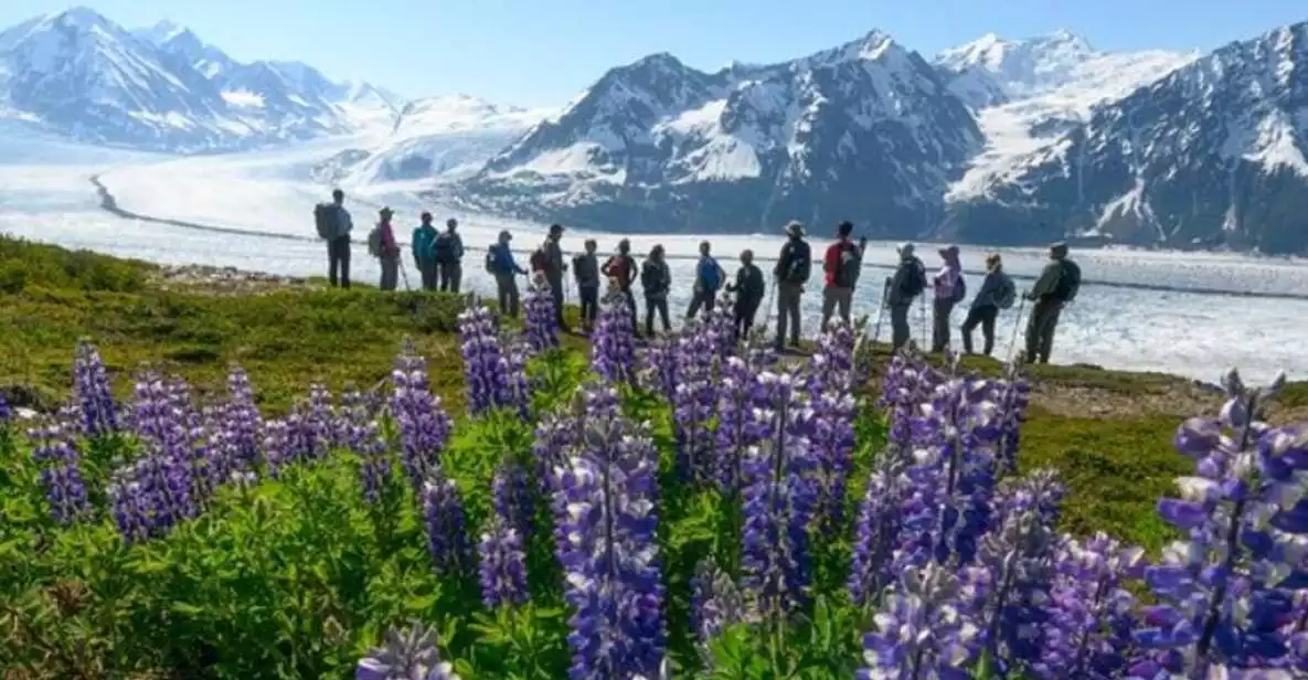 Anchorage: Knik Glacier Helicopter and Hiking Adventure Tour | GetYourGuide