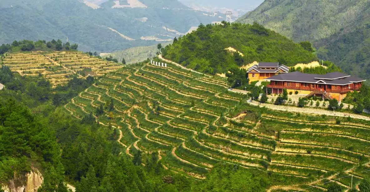 Anxi Tea Garden and Hong’en Rock from Xiamen | GetYourGuide