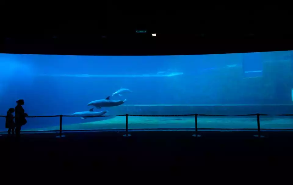 Aquarium of Genoa: Entry Ticket and Aperitif | GetYourGuide