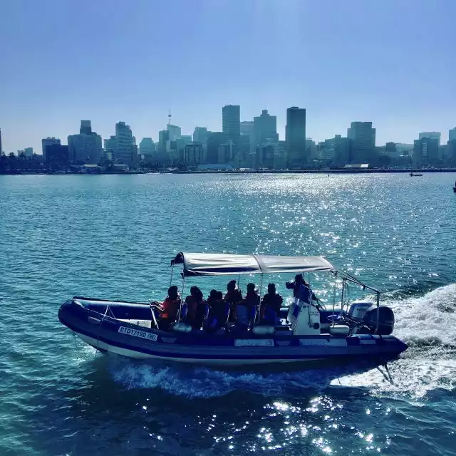 Durban: 1-Hour Boat Cruise from Wilson's Wharf | GetYourGuide