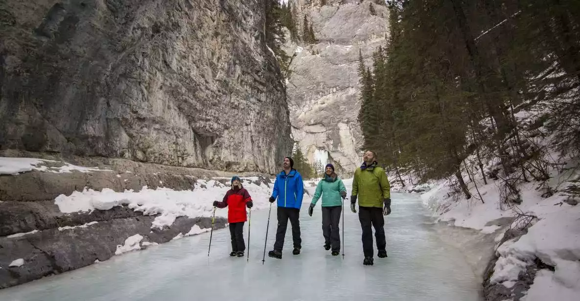 Banff: Grotto Canyon Icewalk | GetYourGuide