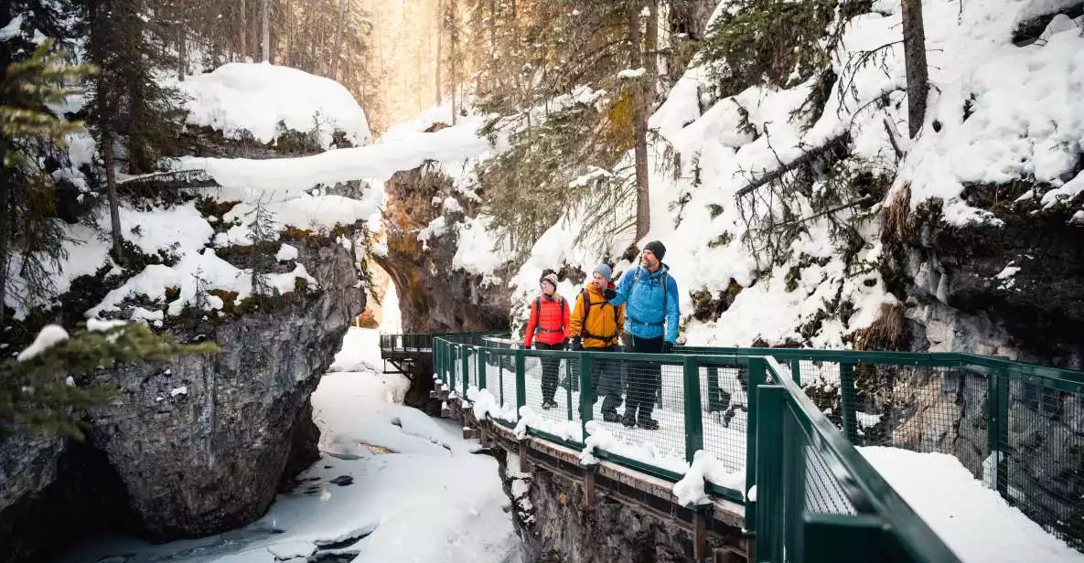 Banff: Morning or Afternoon Johnston Canyon Icewalk | GetYourGuide