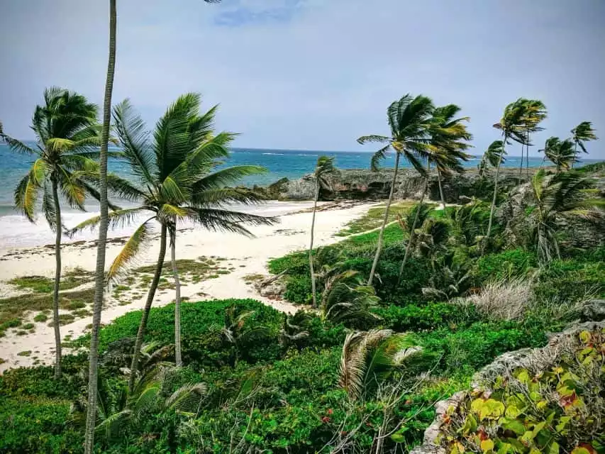 Barbados: Bath to Bathsheba Run or Hike | GetYourGuide