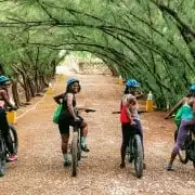 Barbados: Rural Tracks and Trails Guided E-Bike Tour | GetYourGuide