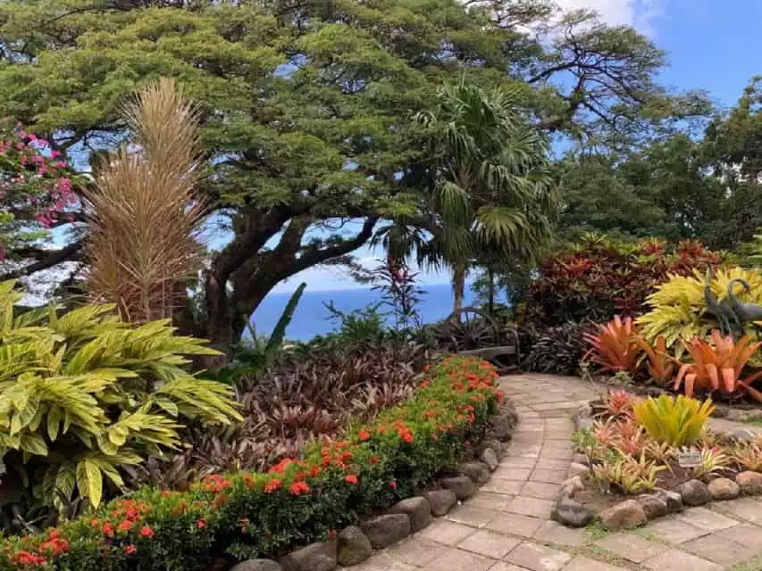 Basseterre: Plantation and Beach Extravaganza | GetYourGuide