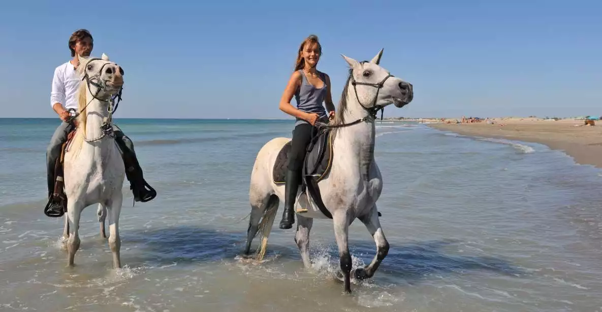 Bodrum: Horseback Riding Experience | GetYourGuide