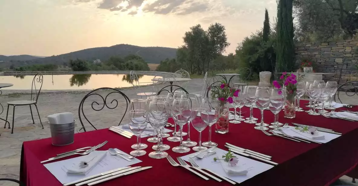 Bodrum Vineyard Tour with Dinner and Wine Pairing | GetYourGuide