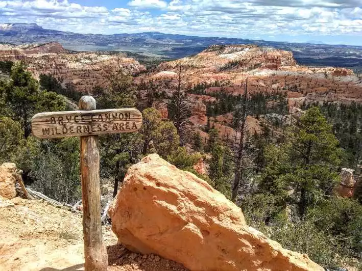 Bryce Canyon National Park: 3-Hour Sightseeing Tour | GetYourGuide