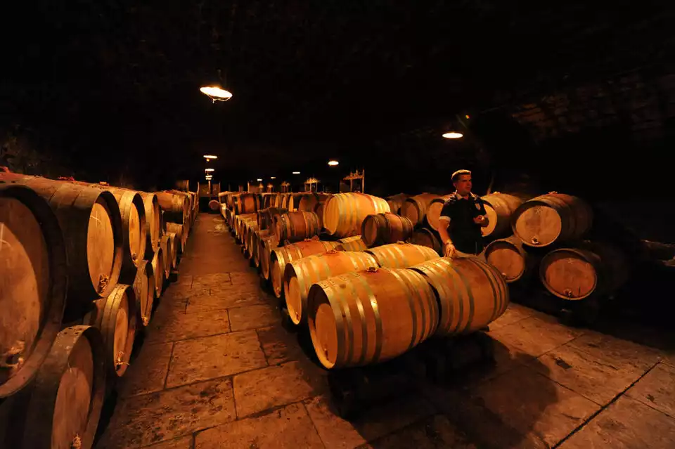From Dijon: Burgundy Wine Tasting Tour | GetYourGuide