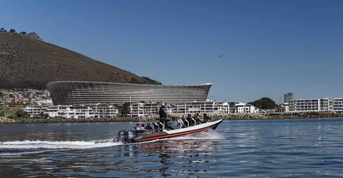 Cape Town: Guided Marine Wildlife Cruise and Cape Point Tour | GetYourGuide