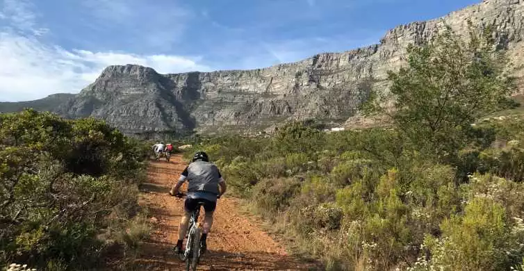 Cape Town: Mountain Biking Trip on Table Mountain | GetYourGuide