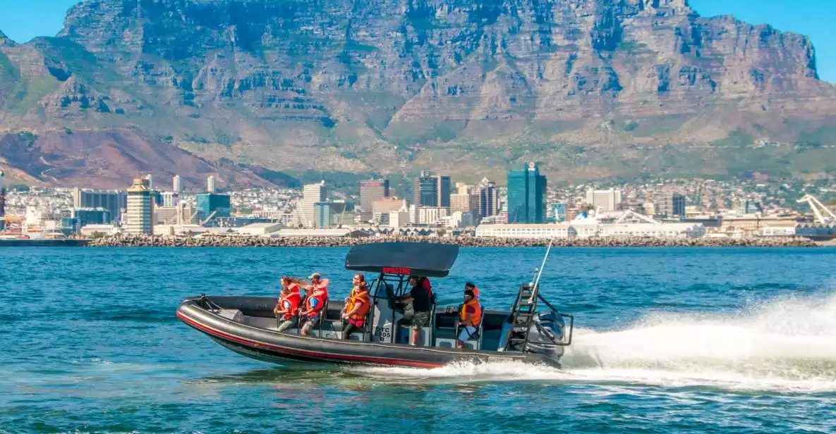 Cape Town Ocean Safari: Speed Boat Adventure in Table Bay | GetYourGuide