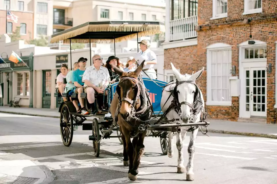 Charleston: 1-Hour Carriage Tour of the Historic District | GetYourGuide