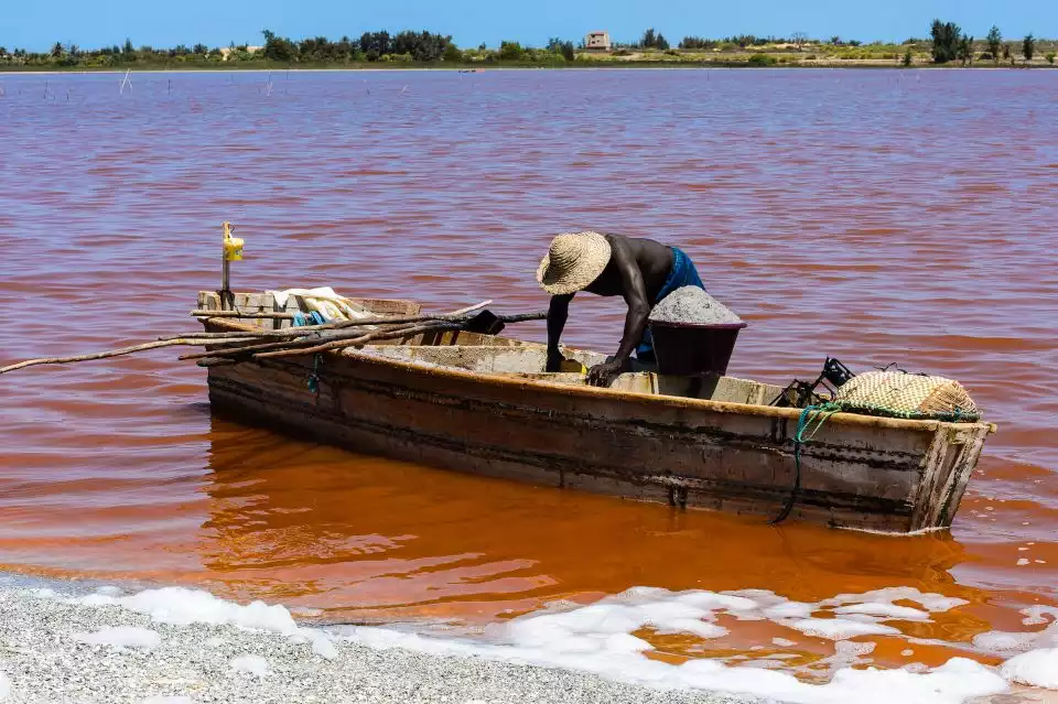 From Dakar or Saly: Half-Day Tour to Pink Lake | GetYourGuide