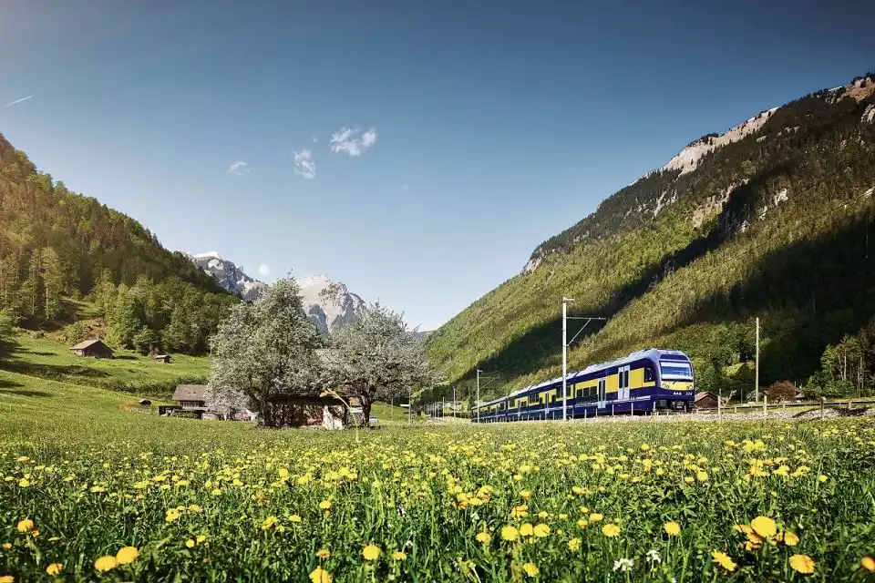 From Zurich: Day Trip to Grindelwald & Interlaken | GetYourGuide