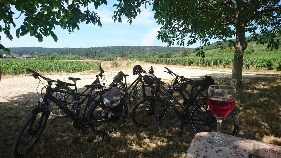 Dijon: Half-Day Guided Gourmet Bike Tour | GetYourGuide
