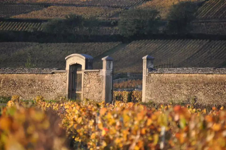 Dijon: Best of Burgundy - Private Tour w/ 6 Grands Crus | GetYourGuide