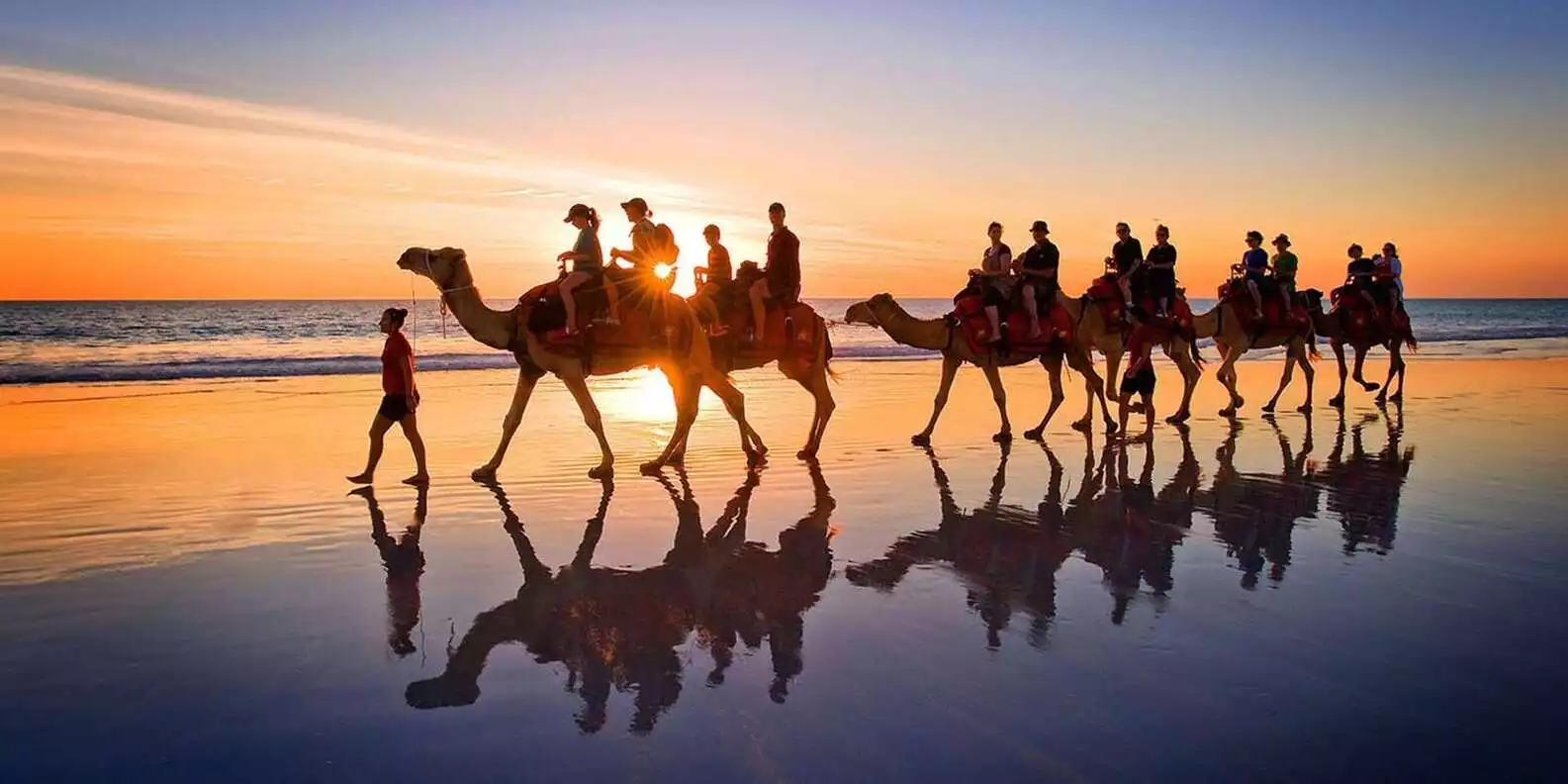 Djerba: Lagoon Camel Ride Experience | GetYourGuide