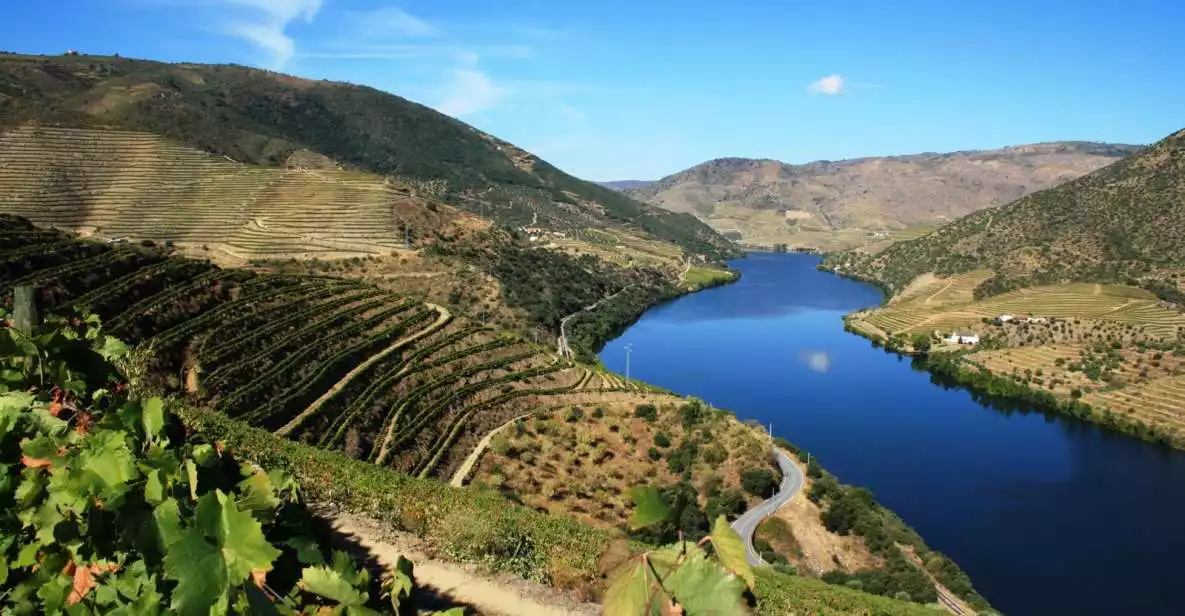 Douro Valley: Full Day Tour w/ Wine Tasting & River Cruise | GetYourGuide