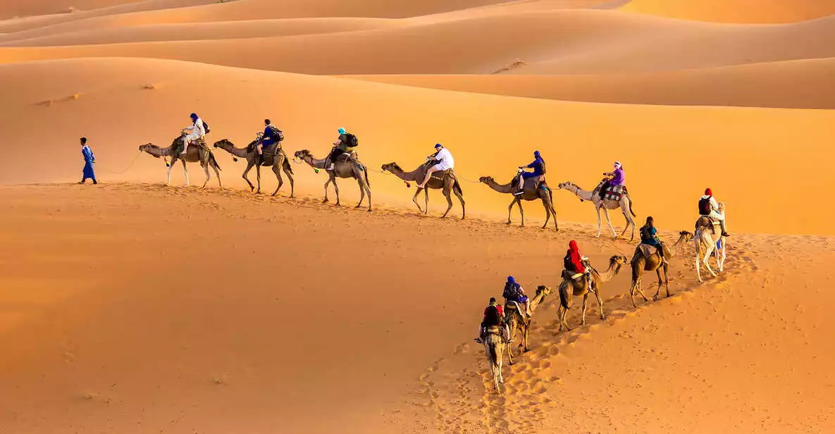 Douz 2-Day Sahara Desert Camel Trek | GetYourGuide