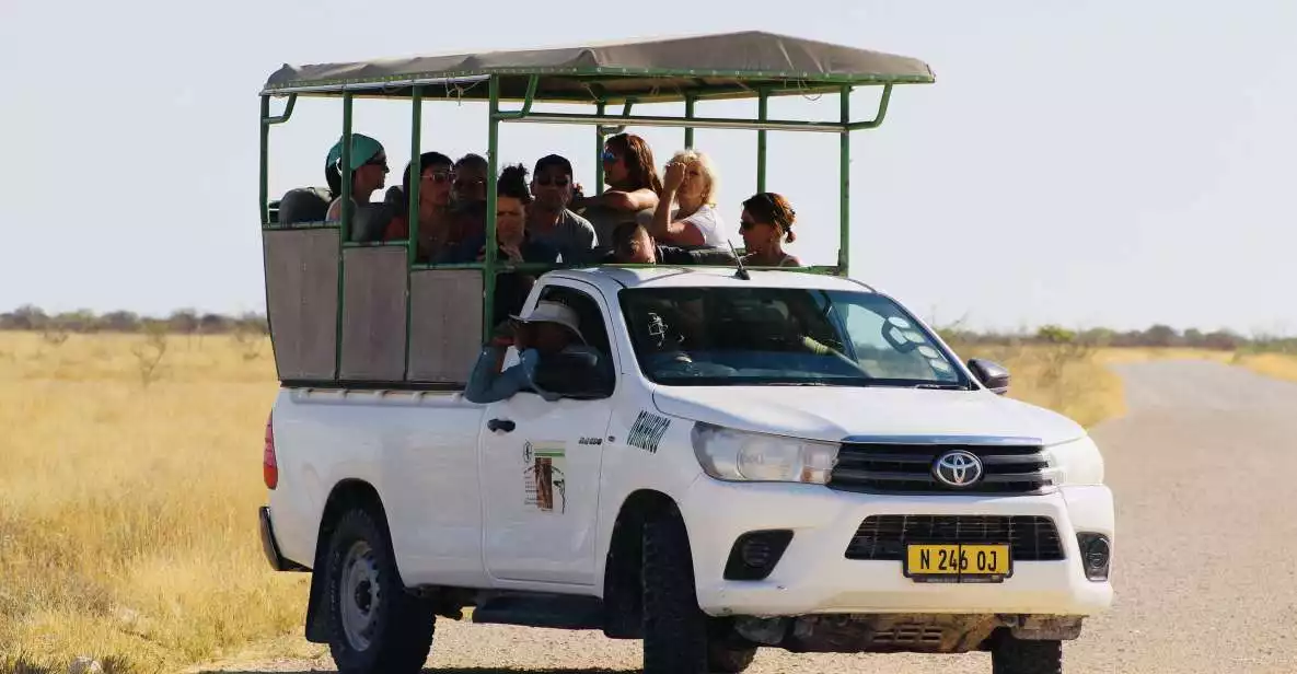 Etosha National Park: Full or Half-Day Game Drive | GetYourGuide