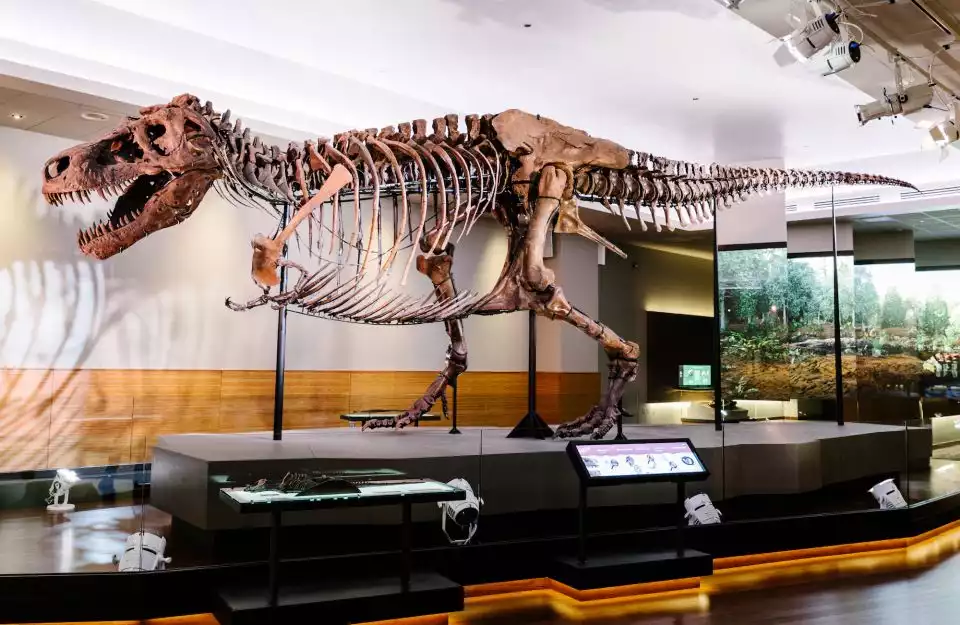 Chicago: Field Museum of Natural History Ticket or VIP Tour | GetYourGuide