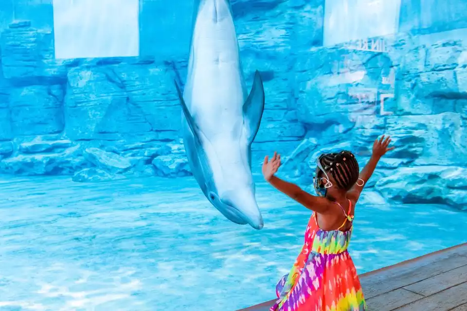 Clearwater: Eco-Certified Marine Aquarium General Admission | GetYourGuide