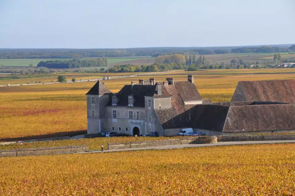 From Dijon: Côte de Nuits Vineyards Wine Tasting Tour | GetYourGuide