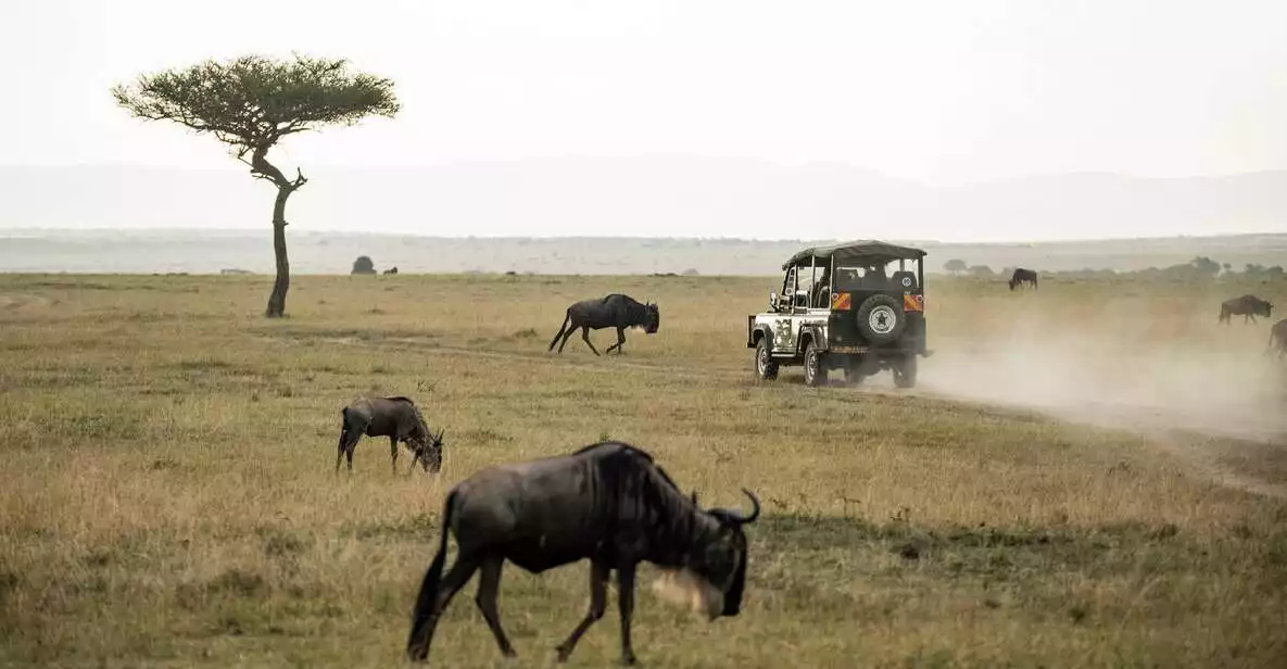 Pilanesberg Nature Reserve Full-Day Safari from Johannesburg | GetYourGuide
