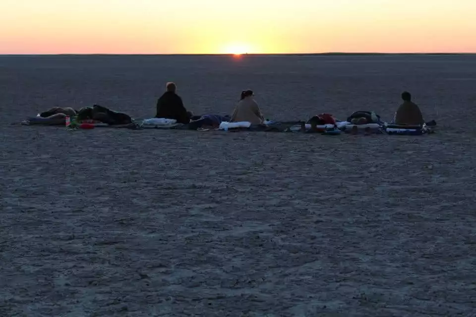 From Kasane: Sleeping Under the Stars at Makgadikgadi Pan | GetYourGuide
