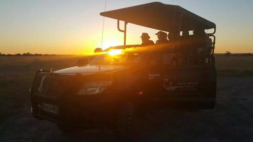 From Maun: Moremi Game Reserve Day Trip | GetYourGuide