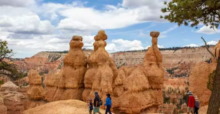 From Salt Lake City: Private Bryce Canyon National Park Tour | GetYourGuide