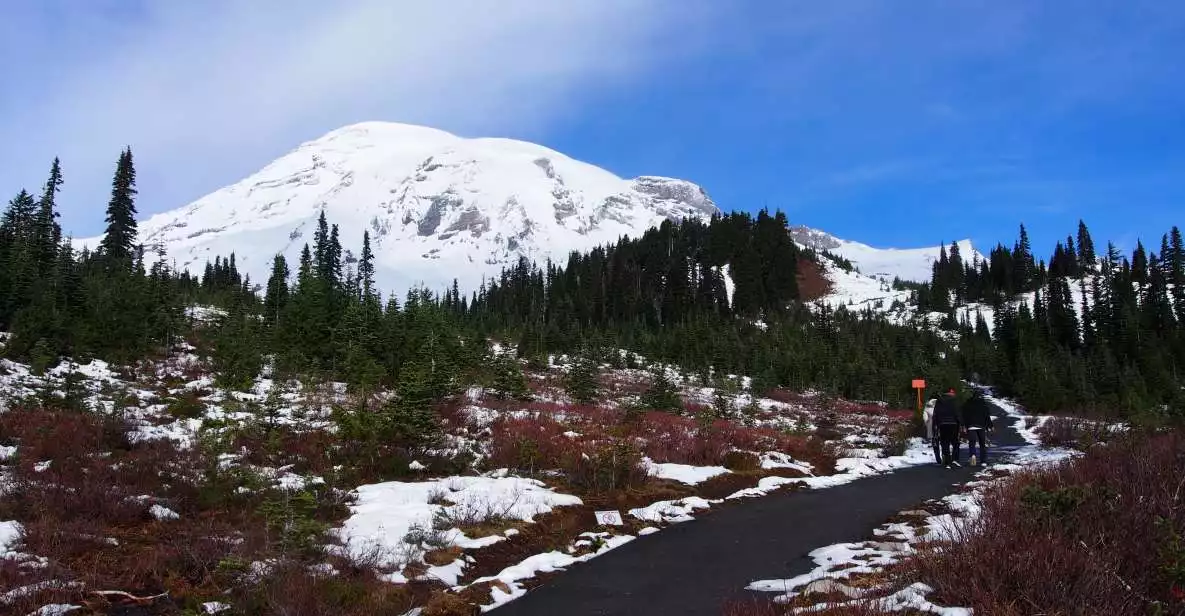 From Seattle: Mount Rainier Full-Day Tour | GetYourGuide