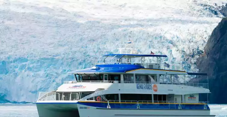 Seward: Kenai Fjords National Park 6-Hour Cruise | GetYourGuide
