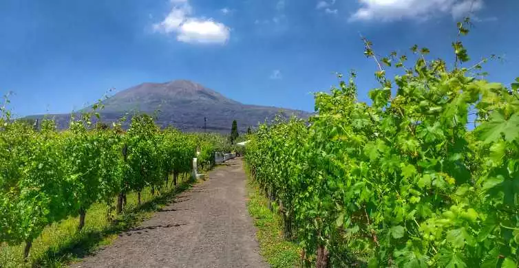 From Sorrento: Mount Vesuvius Tour with Lunch & Wine Tasting | GetYourGuide