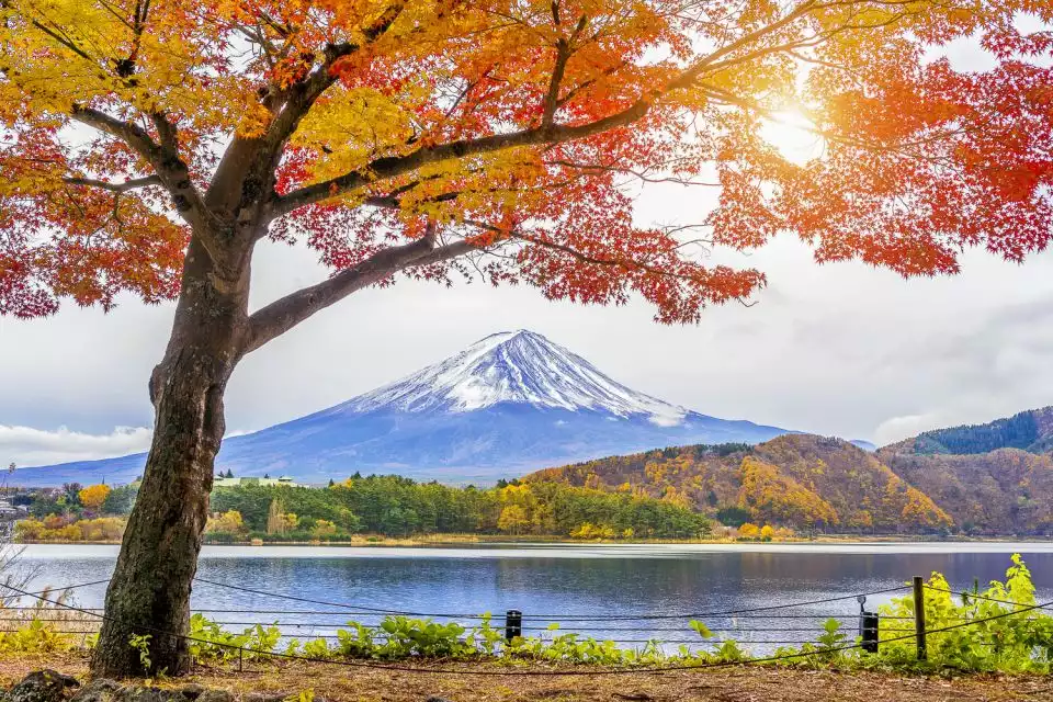 From Tokyo: Full-Day Mount Fuji and Hakone Tour with Sightseeing Cruise | GetYourGuide
