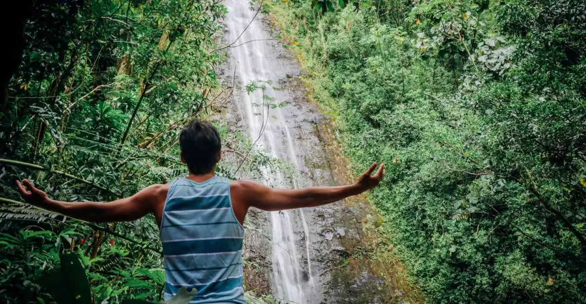 From Waikiki: Manoa Falls Rainforest Tour with Healthy Lunch | GetYourGuide