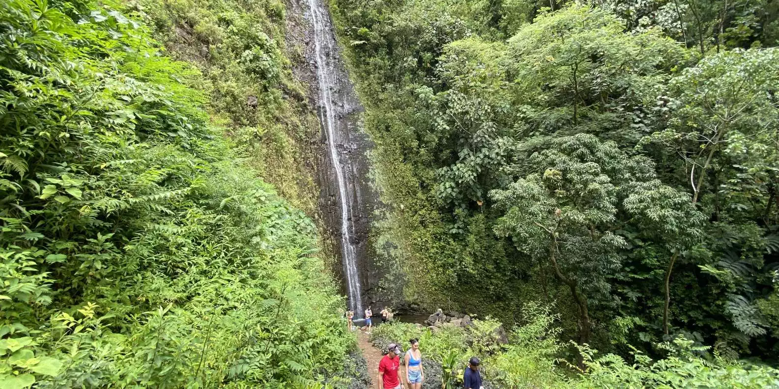 From Waikiki: Manoa Valley Private Hiking Trip & Waterfall | GetYourGuide