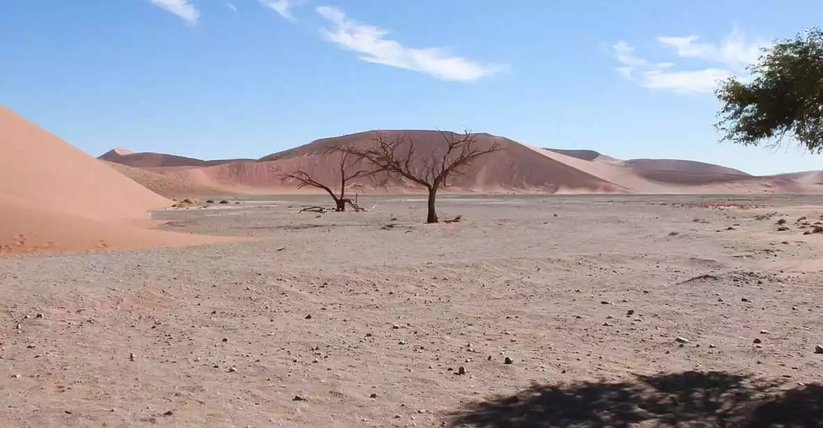 From Windhoek: Namib Desert and Etosha National Park Tour | GetYourGuide