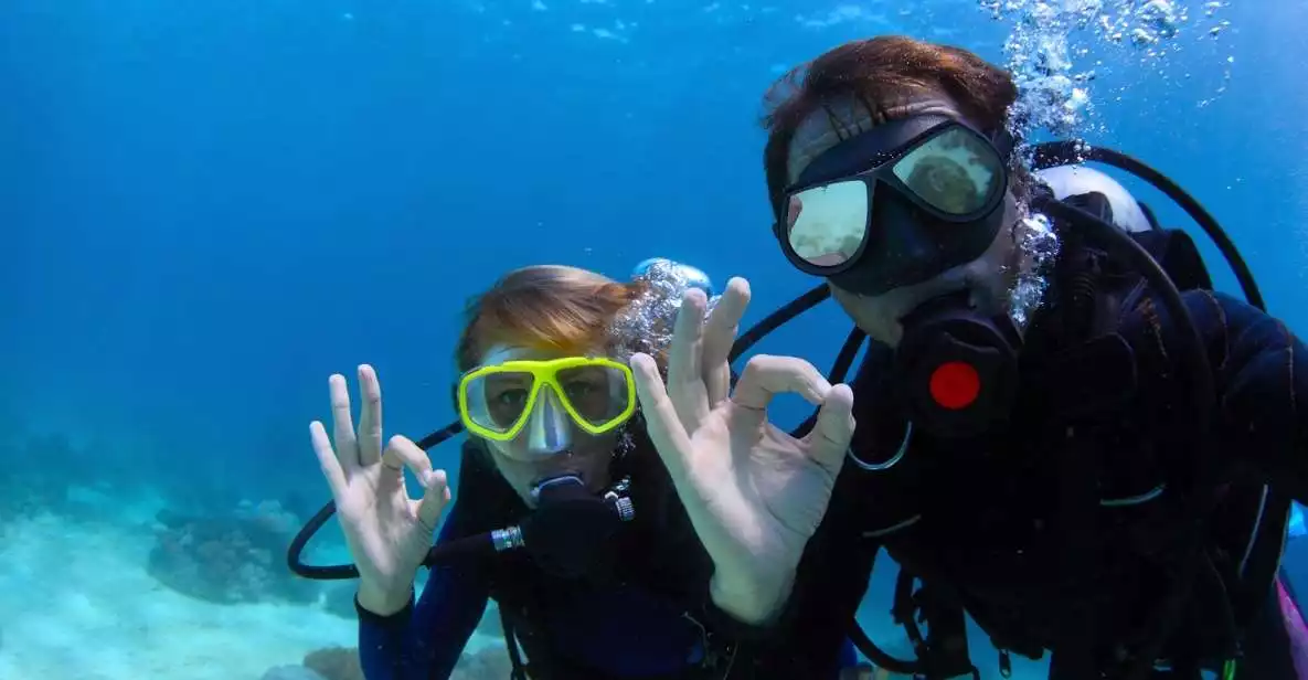 Scuba Diving Tour in Bodrum | GetYourGuide