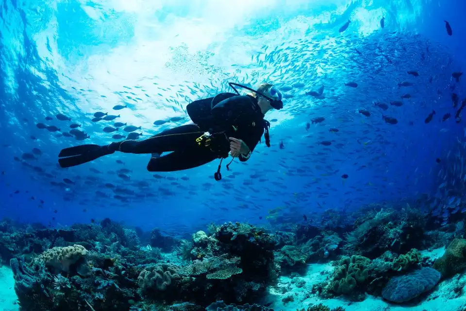 Scuba Diving Tour in Bodrum | GetYourGuide