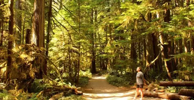 Seattle: Olympic National Park Small-Group Tour | GetYourGuide